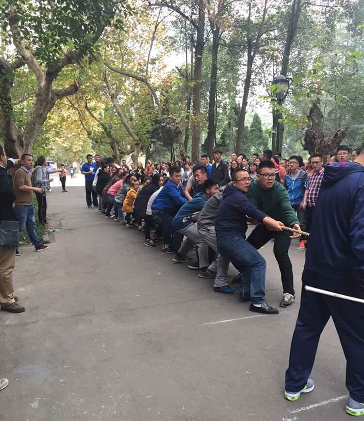 QQ图片20151118110629.jpg